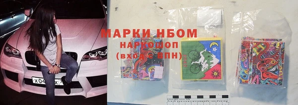 прущие грибы Бородино
