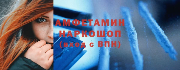 прущие грибы Бородино