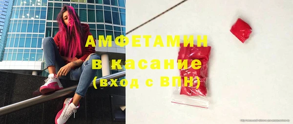 прущие грибы Бородино