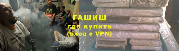 прущие грибы Бородино
