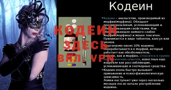 прущие грибы Бородино
