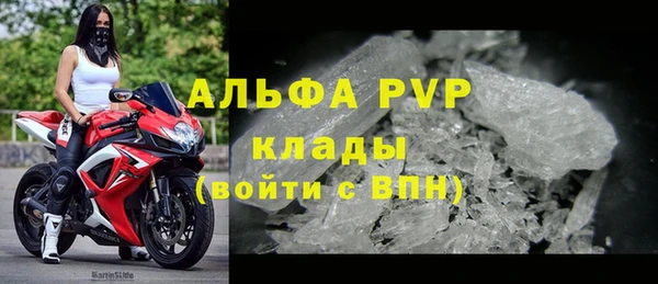 прущие грибы Бородино