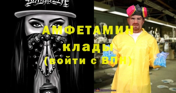 прущие грибы Бородино