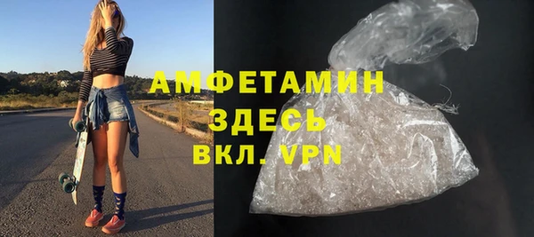 прущие грибы Бородино